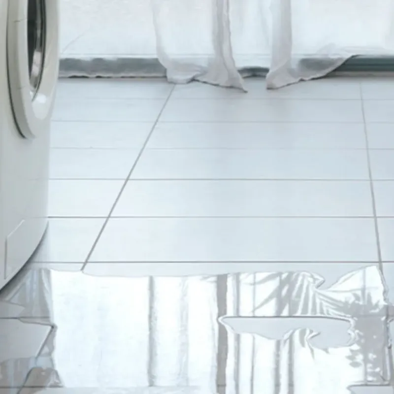 Appliance Leak Cleanup in Webb County, TX