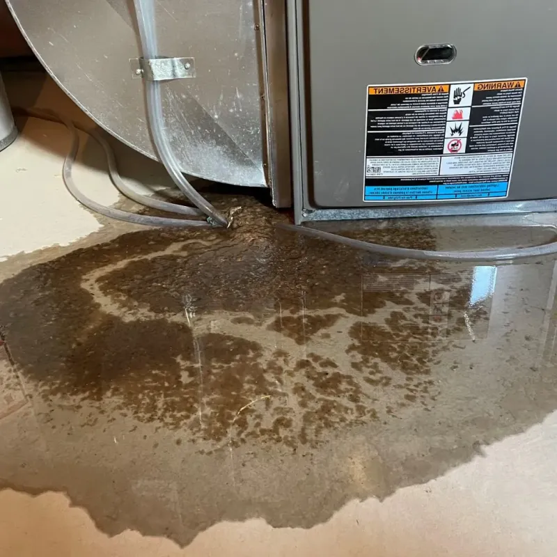 Pipe Burst and Leak Restoration in Webb County, TX