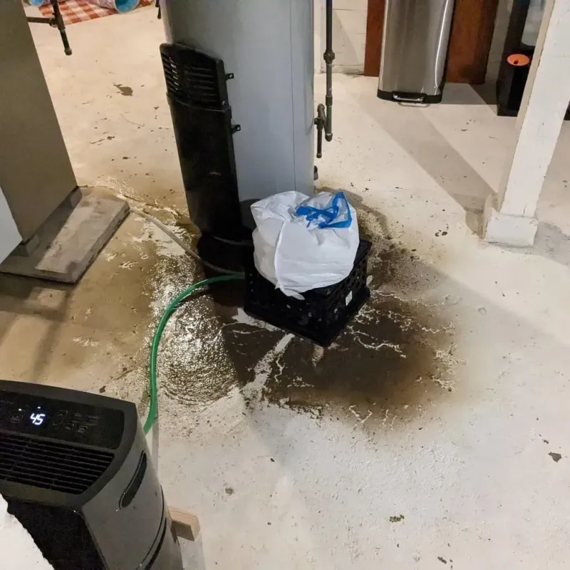 Sewage Backup Cleanup Service in Webb County, TX